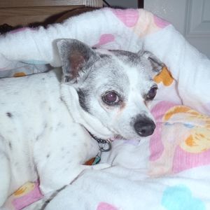 Meet your Posher, Kt